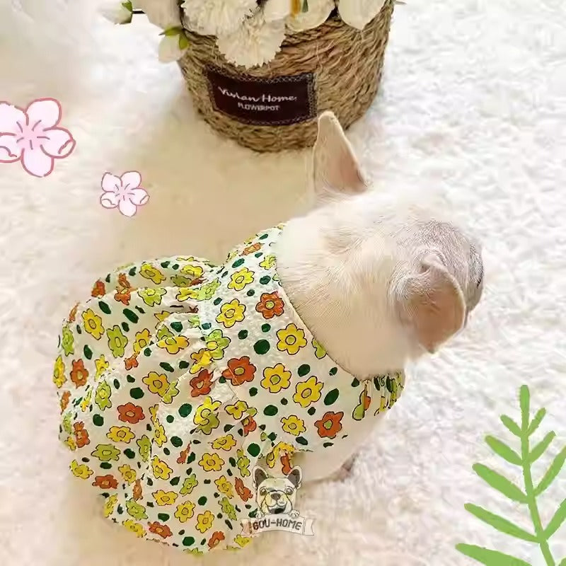 BloomPup-Frenchie-Summer-Dress.jpg