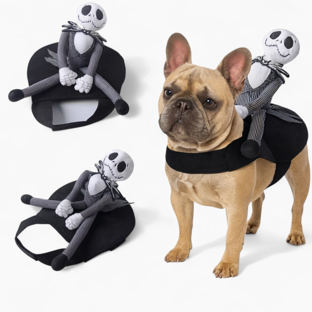 BoneRider-Frenchie-Jack-Rider-Costume.jpg