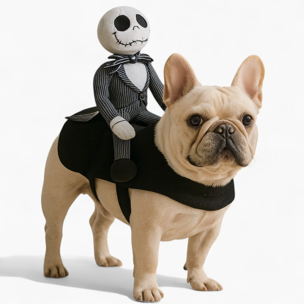Jack Rider Cloth BoneRider Frenchie Jack Rider Costume – Funny Halloween Dog Clothes