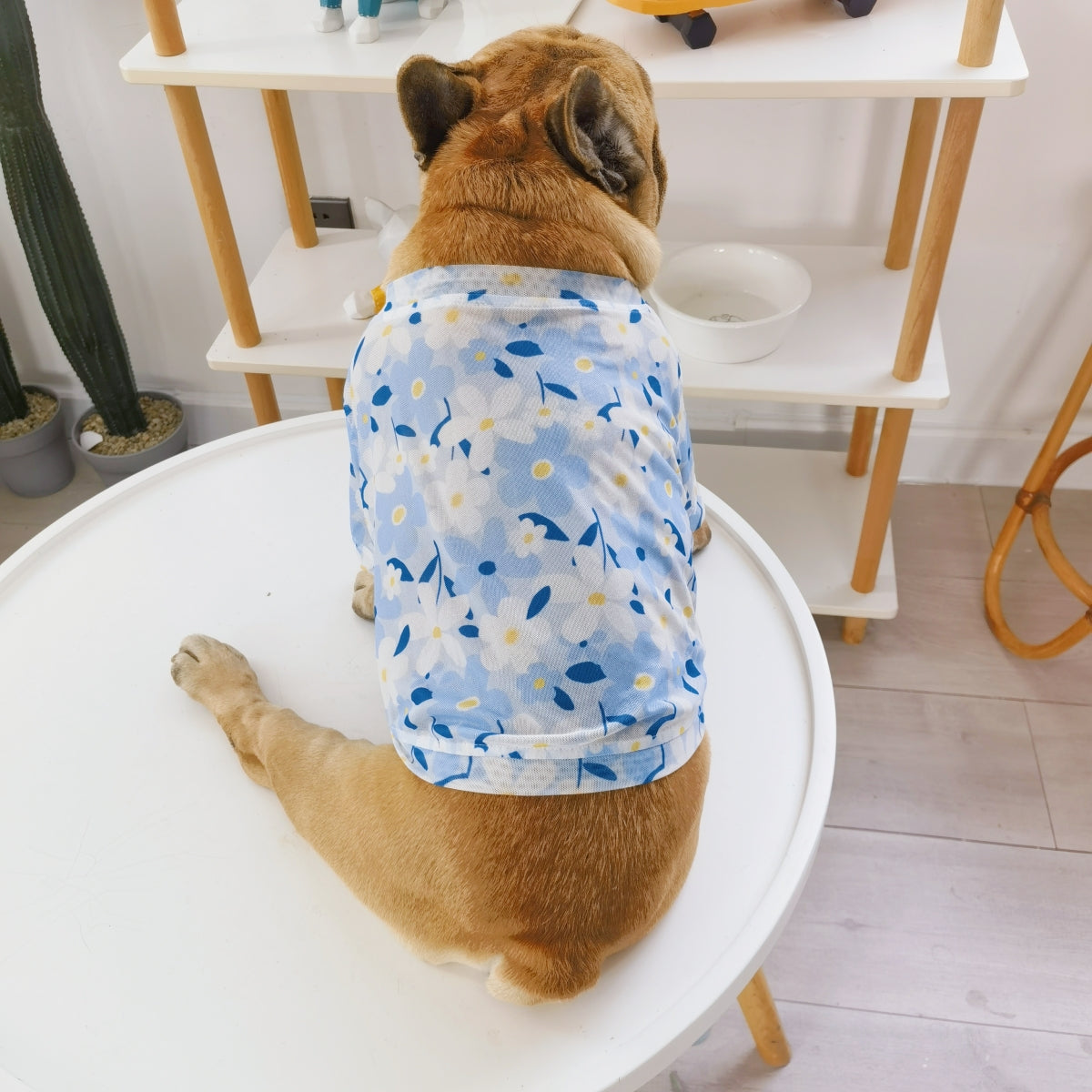 BreeZia-Frenchie-Summer-Flower-Shirt.jpg