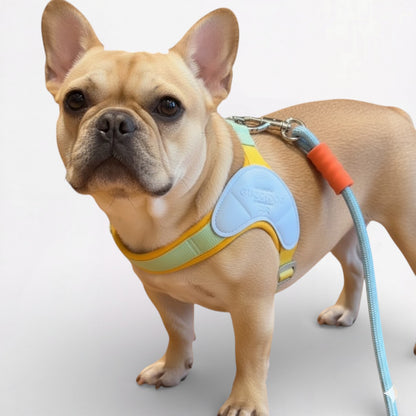 BreezyPaws-Frenchie-Harness-Leash-Set.jpg