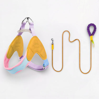 BreezyPaws-Frenchie-Harness-Leash-Set.jpg