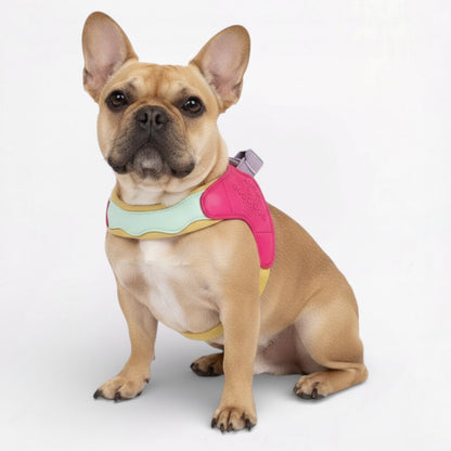 BreezyPaws-Frenchie-Harness-Leash-Set.jpg