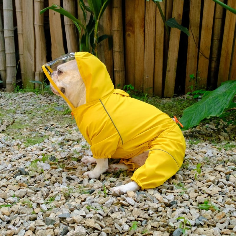BrightPaws-Frenchie-Hooded-Raincoat.jpg