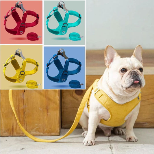 BulldoFit-Luxury-Suede-Frenchie-Harness