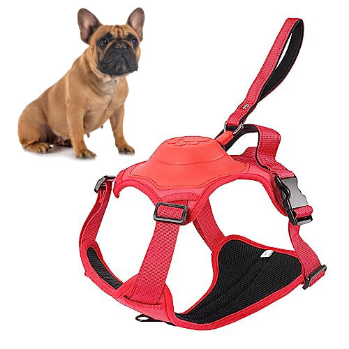 BulldogBound-Frenchie-Harness-and-Retractable-Leash-Set-All-in-One