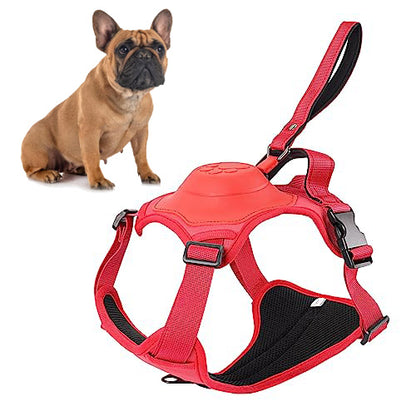 BulldogBound-Frenchie-Harness-and-Retractable-Leash-Set-All-in-One