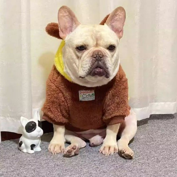 BulmBle-Frenchie-Bee-Hoodie-Costume.jpg