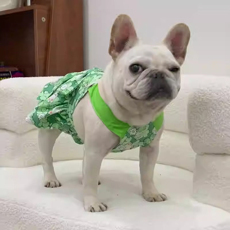 Bunessa-Frenchie-Princess-Dress.jpg