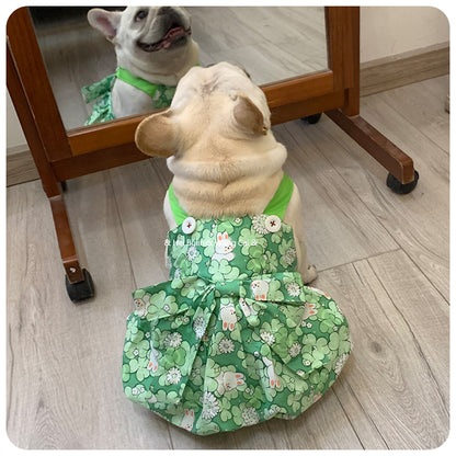 Bunessa-Frenchie-Princess-Dress.jpg
