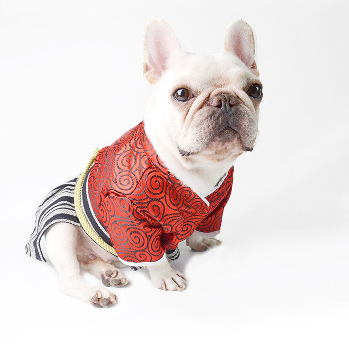 BushiBull-Frenchie-Kimono-Costume.jpg