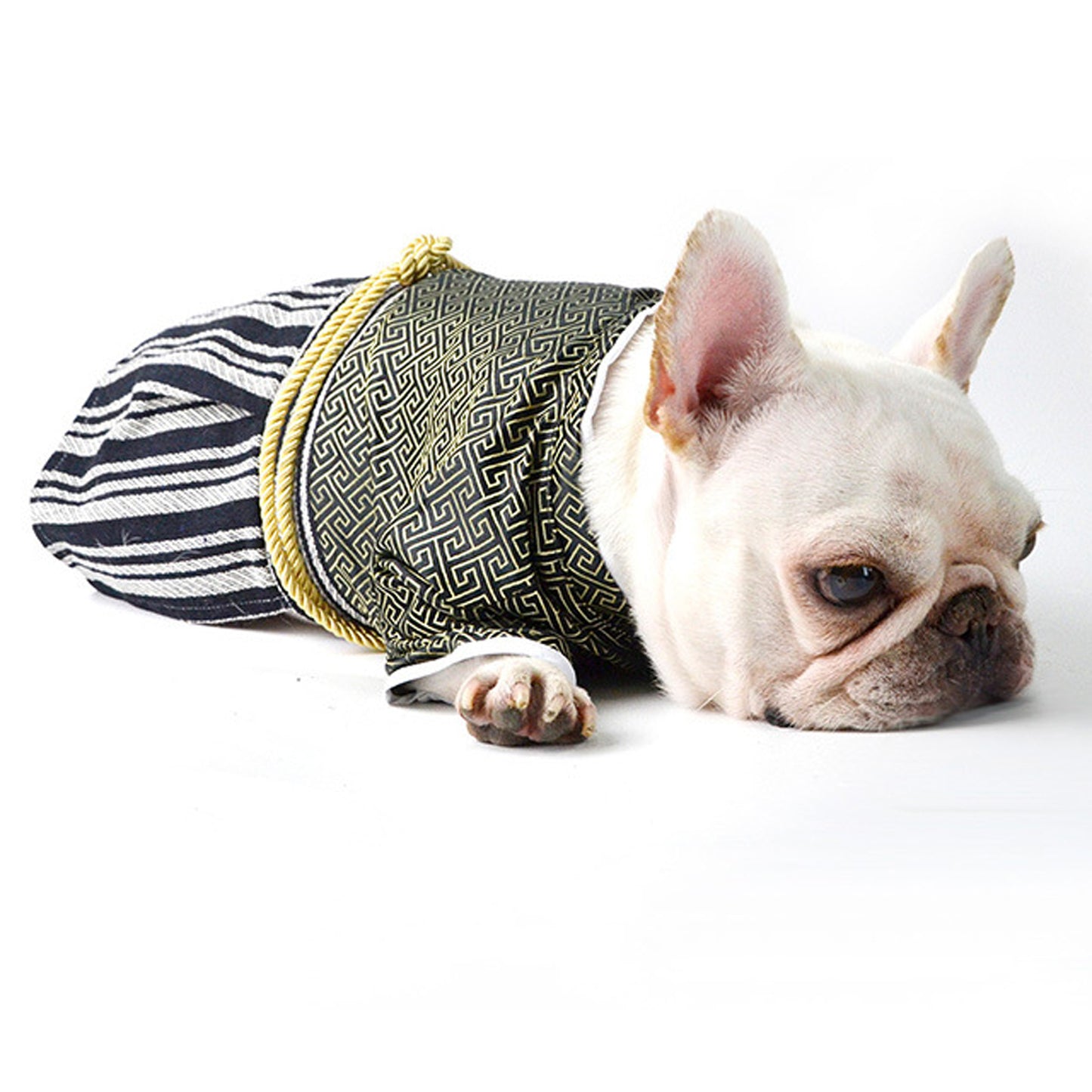 BushiBull-Frenchie-Kimono-Costume.jpg