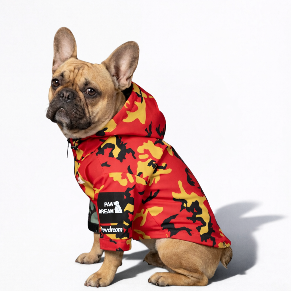 CamoFren-Frenchie-Raincoat.jpg