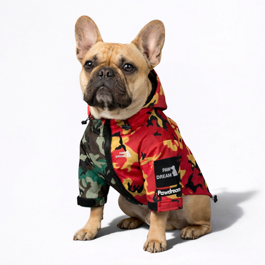 CamoFren-Frenchie-Raincoat.jpg
