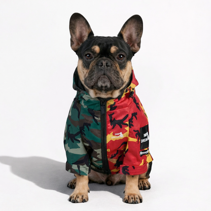 CamoPaw-French-Bulldog-Raincoat.jpg