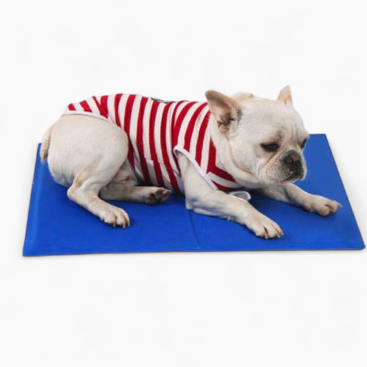 Aircooly-Frenchie-Cooling-Bed.jpg