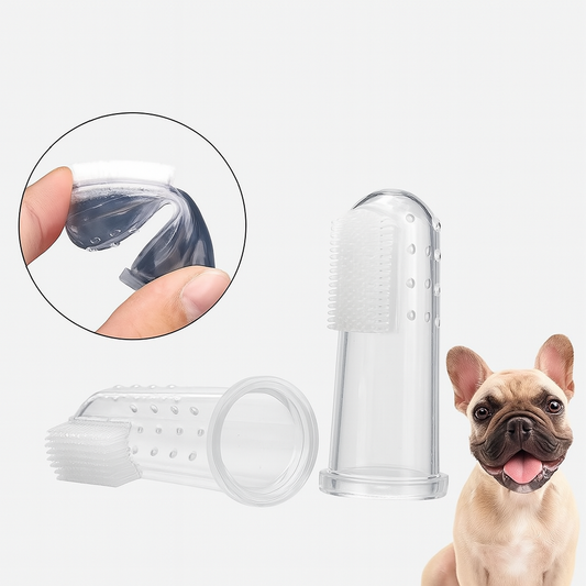 Dentipup-Frenchie-Finger-Toothbrush.jpg