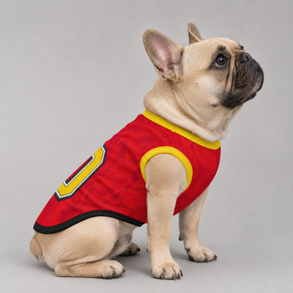 belgium home - jerseys for Frenchies