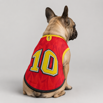 belgium home - jerseys for Frenchies