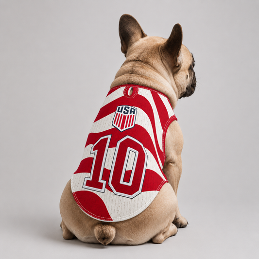 usa home - World Cup jerseys for Frenchies
