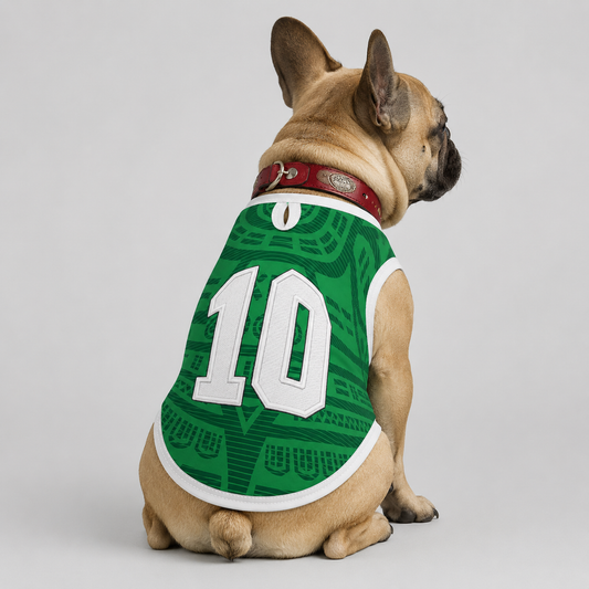 mexico home - World Cup jerseys for Frenchies