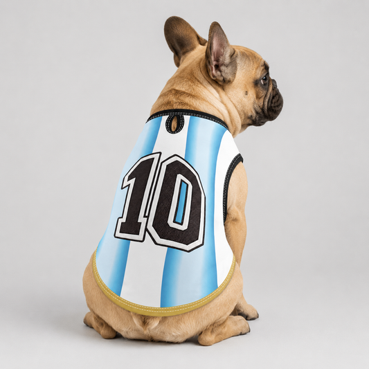 argentina home - World Cup jerseys for Frenchies