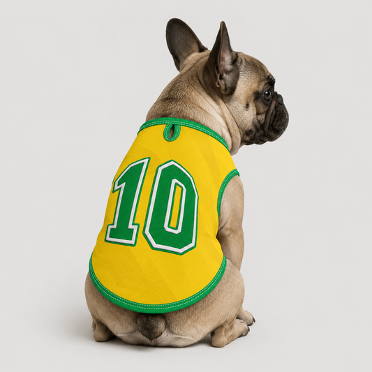 brazil home - World Cup jerseys for Frenchies