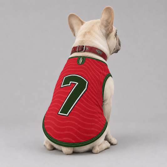 portugal home - World Cup jerseys for Frenchies