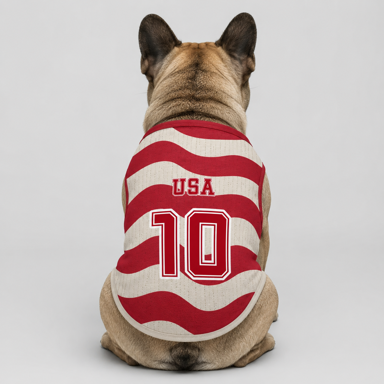Personalized usa home - jerseys for Frenchies