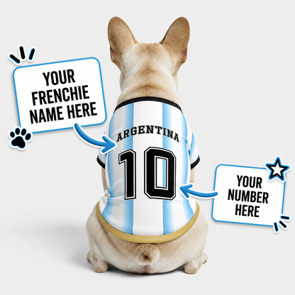 Personalized argentina home - jerseys for Frenchies