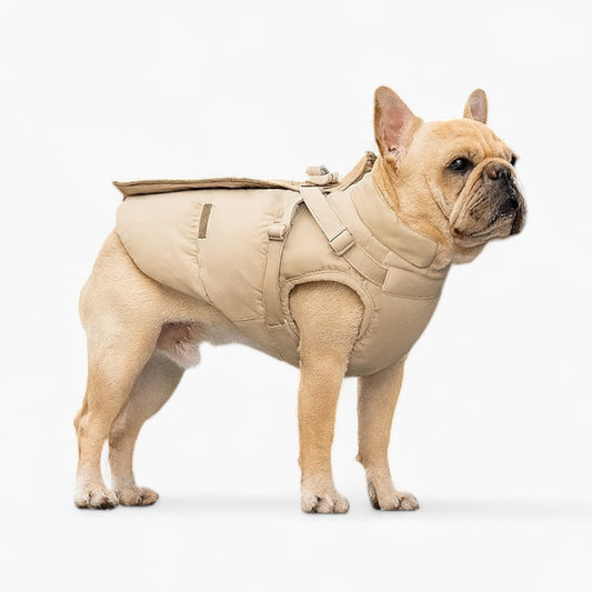 Chilluxe-French-Bulldog-Jacket.jpg