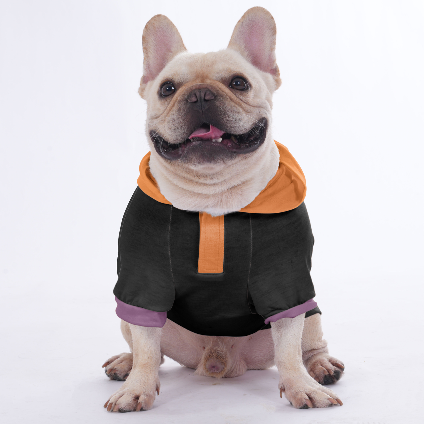 'CiCi' Halloween Hoodies for frenchies