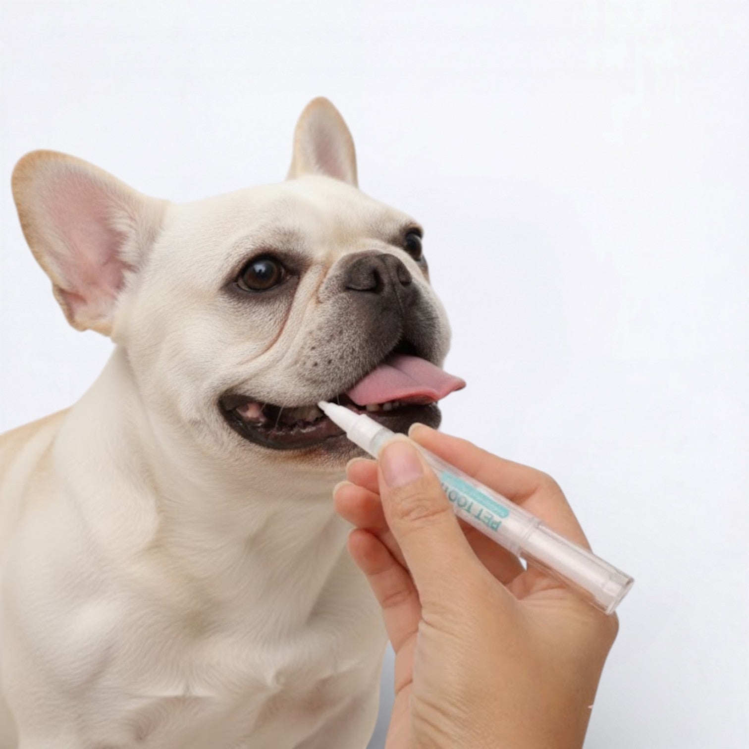 Cleanix-Frenchie-Toothbrush-Pen.jpg