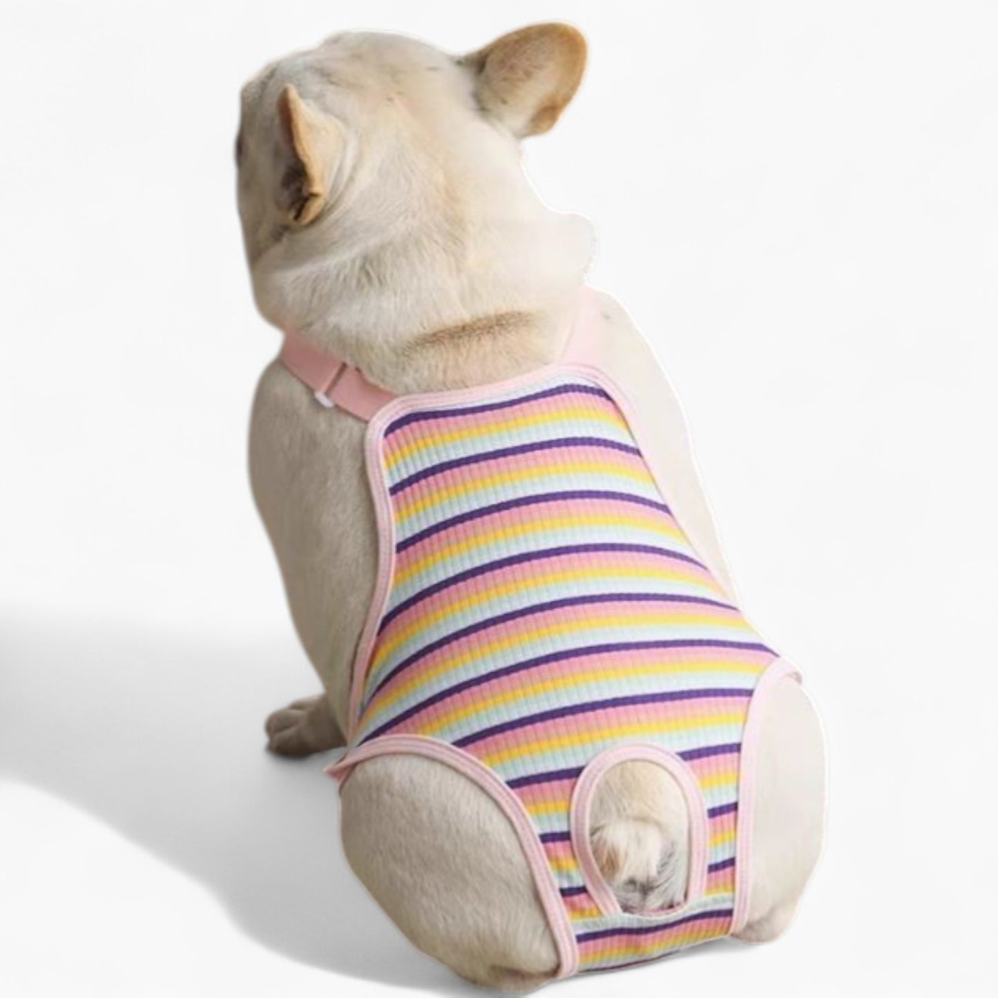 ComfiPet-French-Bulldog-Period-Pants.jpg