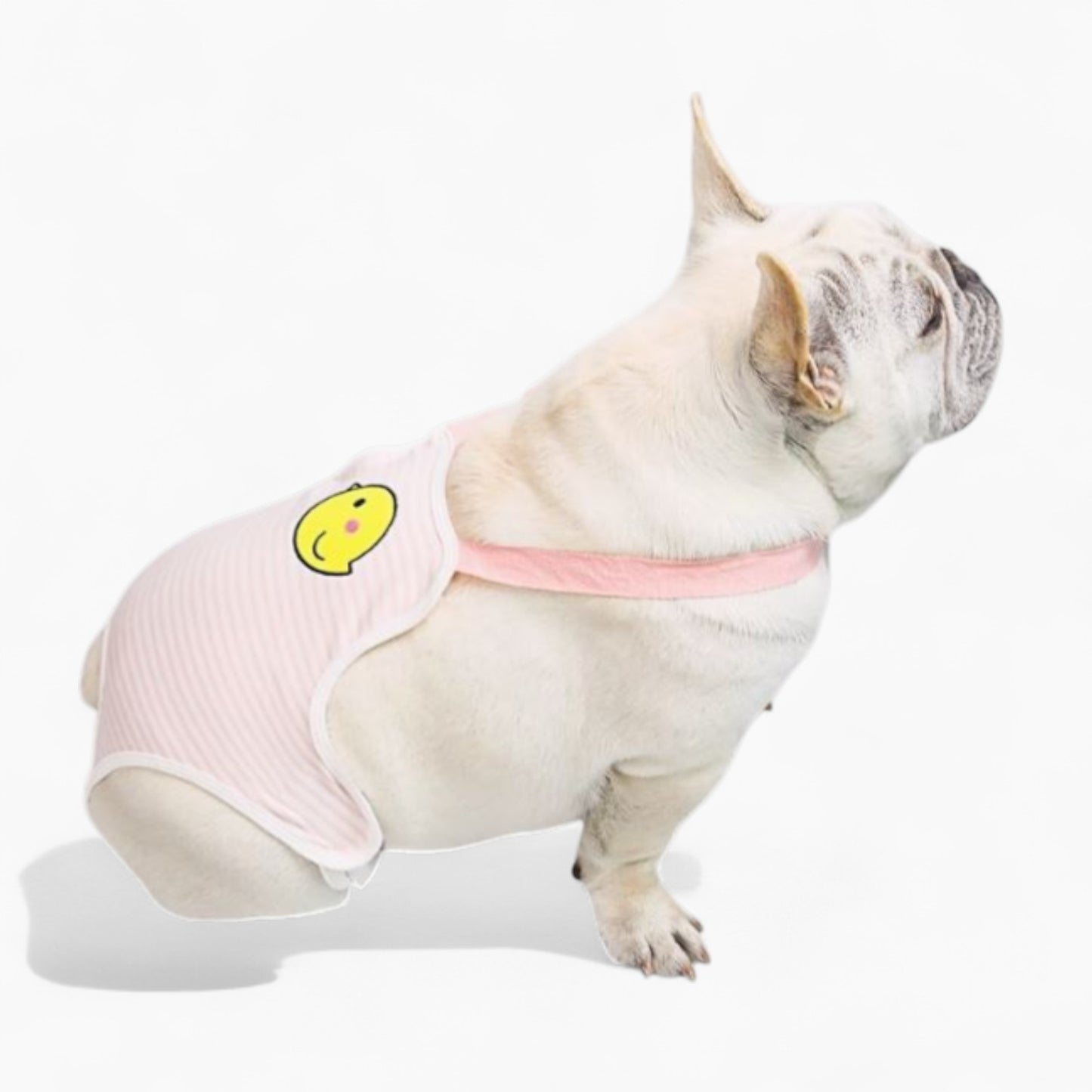 ComfiPet-French-Bulldog-Period-Pants.jpg