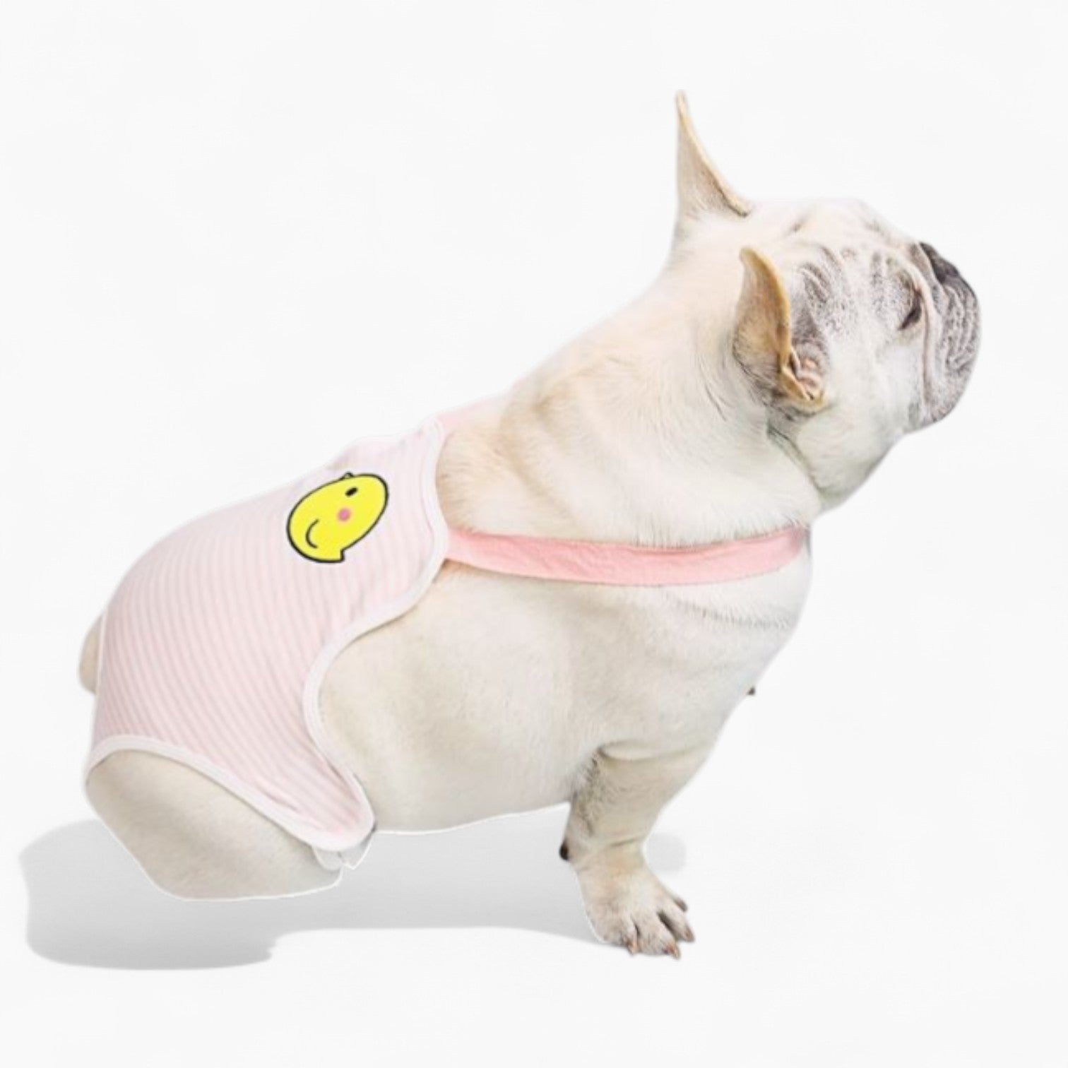ComfiPet-French-Bulldog-Period-Pants.jpg
