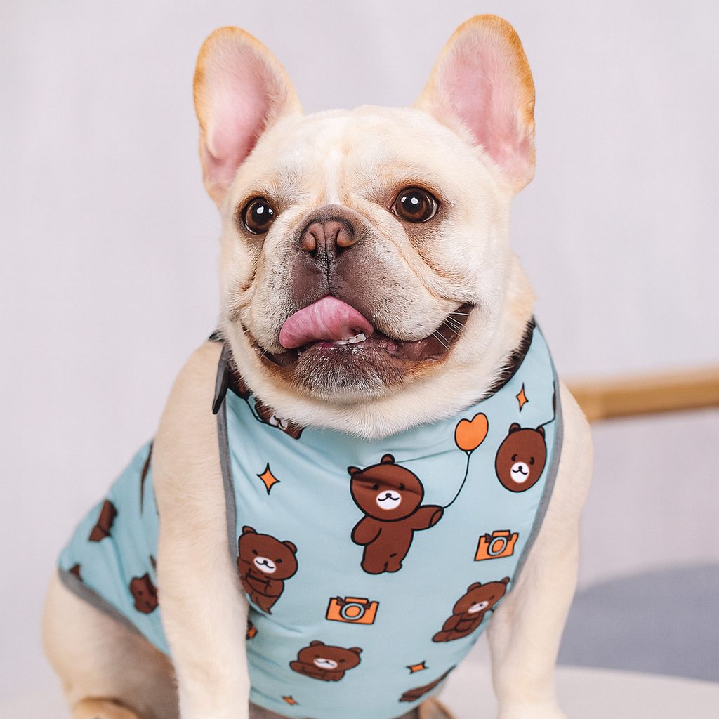 CooLie-Frenchie-Cooling-Vest.jpg