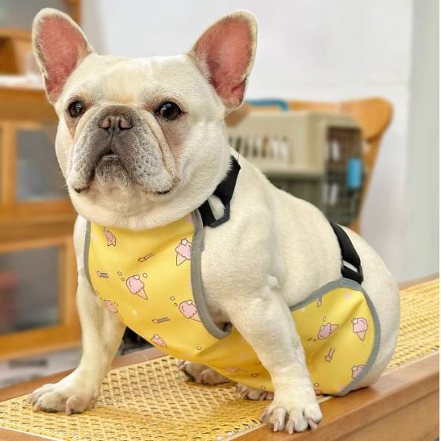 CooLie-Frenchie-Cooling-Vest.jpg