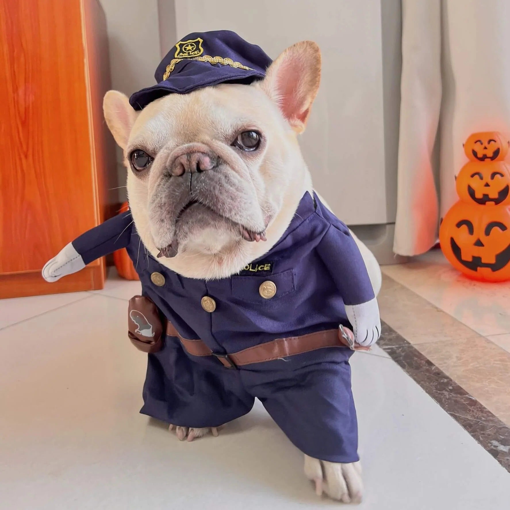 CopaPup_Frenchie_Dagger_Police_Costume