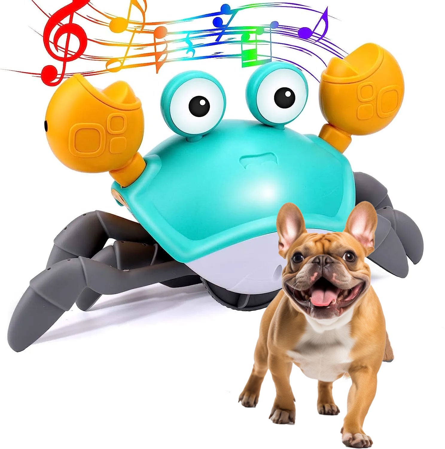 CrabToy Frenchie interactive Toy