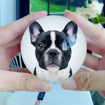 FrenCrys French Bulldog Crystal Ball – Customizable 3D Video Photo Sphere Ball - Christmas gift