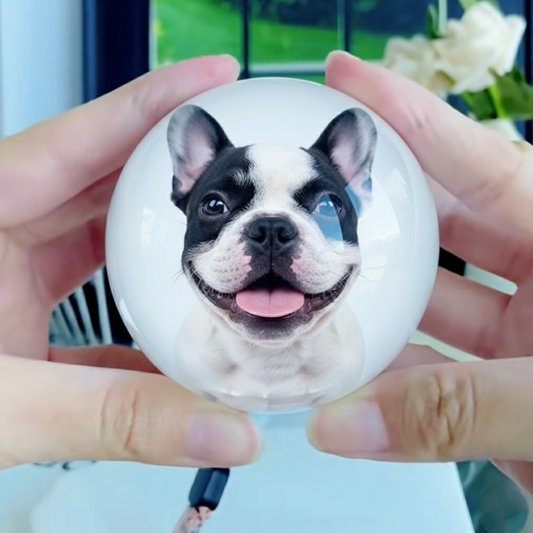 FrenCrys French Bulldog Crystal Ball – Customizable 3D Video Photo Sphere Ball - Christmas gift
