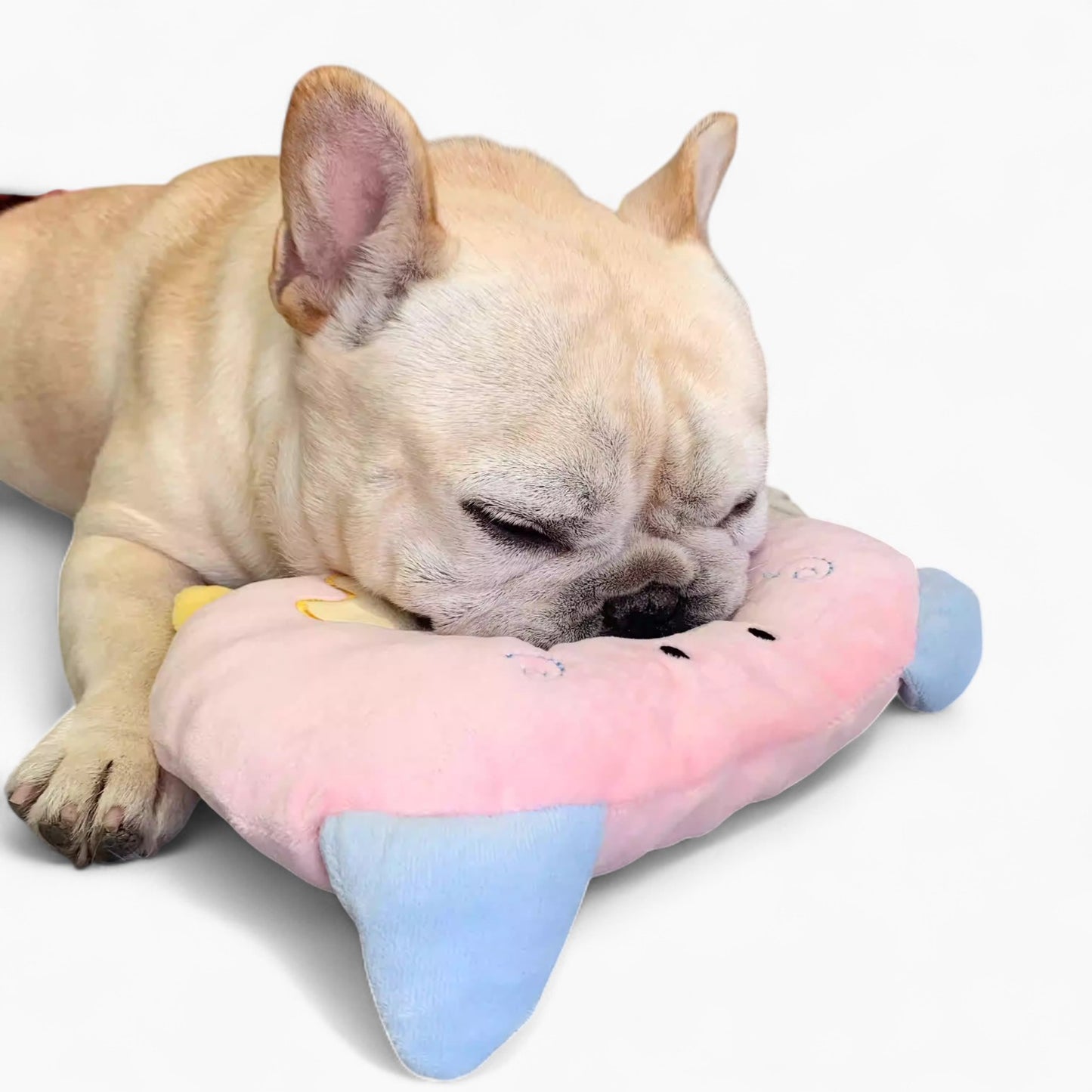 CuddLeix-Frenchie-Sleeping-Cushion.jpg