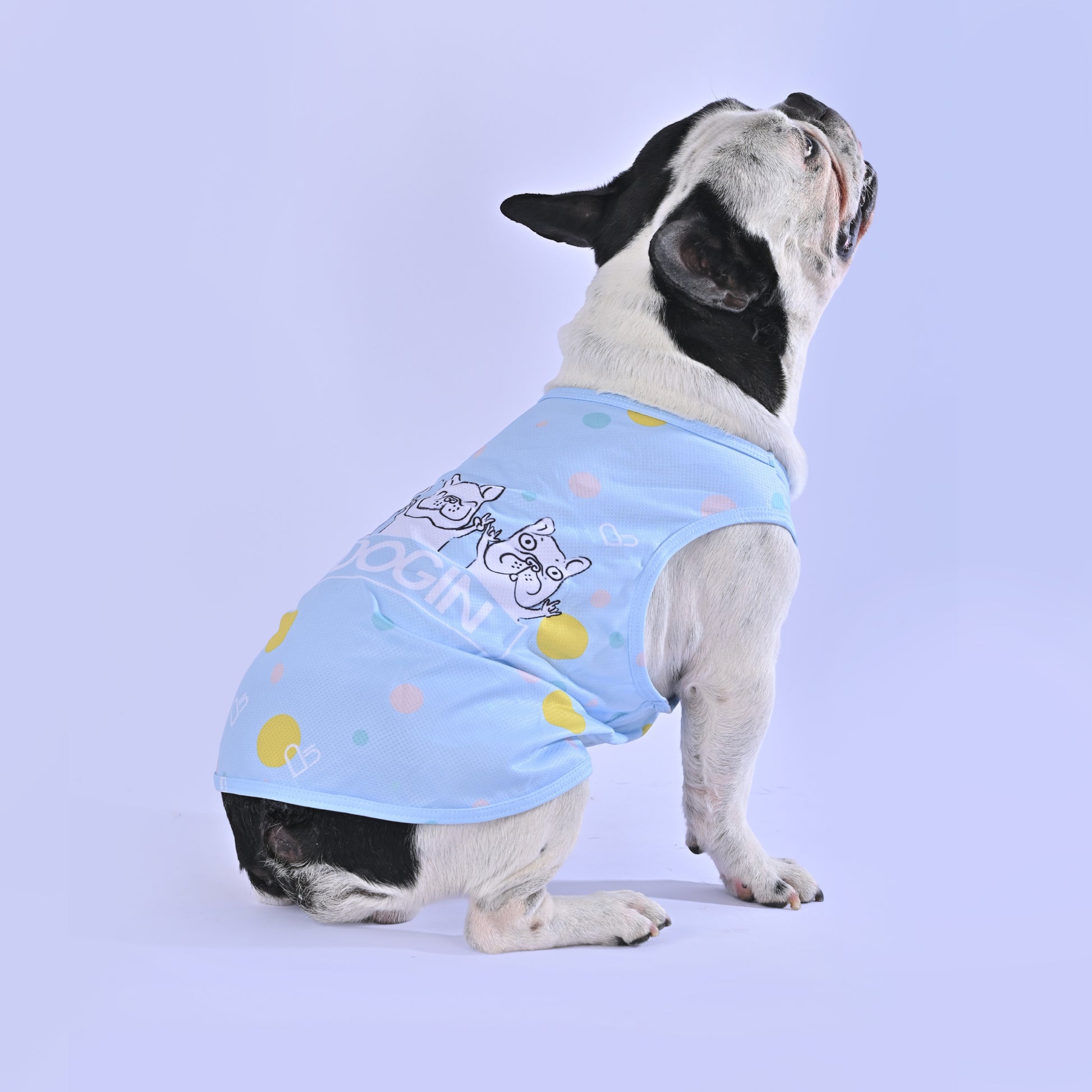 Coolify™: Summer Cooling Vest (CS17) - Frenchie Bulldog Shop