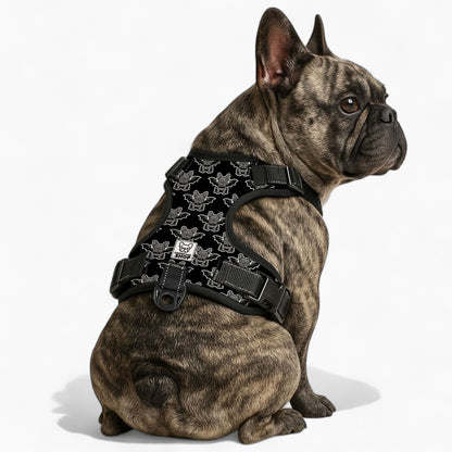 Dahlia No-Pull French Bulldog Dog Harness
