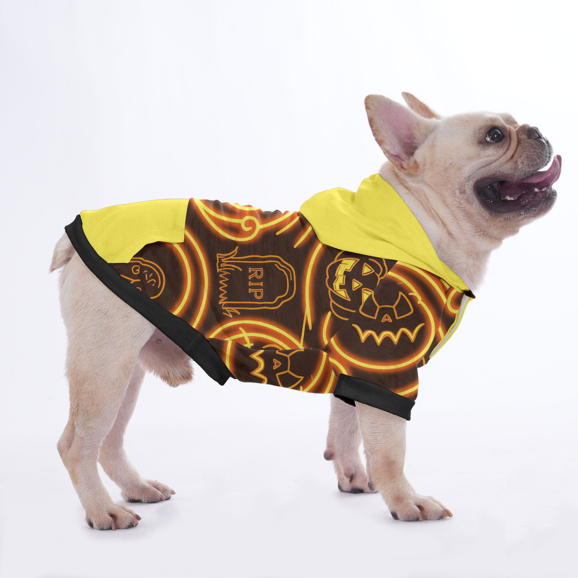 Dash Halloween Hoodies for Frenchie