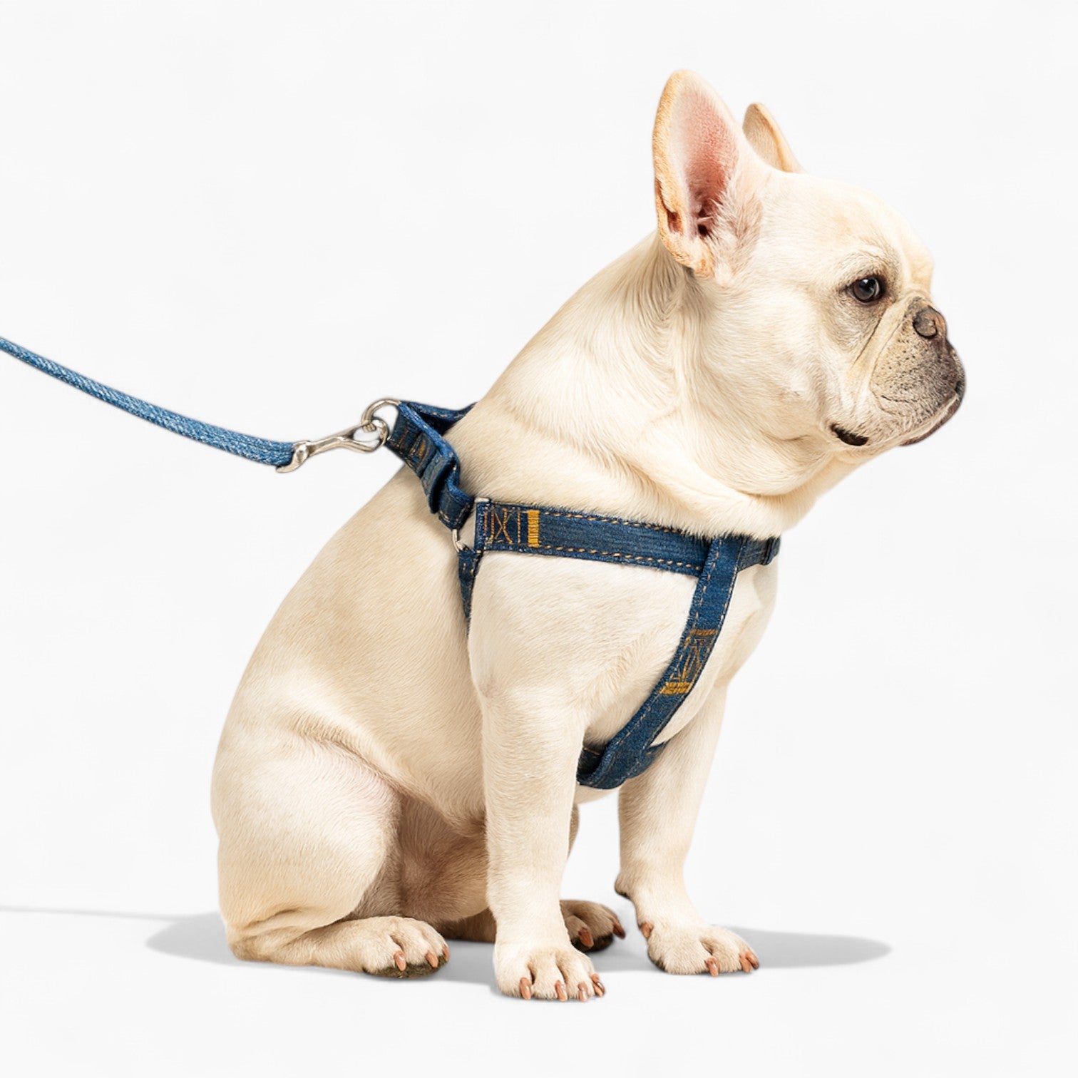 Denivox-Frenchie-Denim-Harness-Leash-Set.jpg