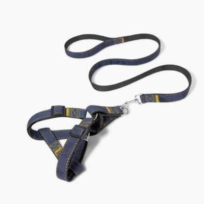 Denivox-Frenchie-Denim-Harness-Leash-Set.jpg