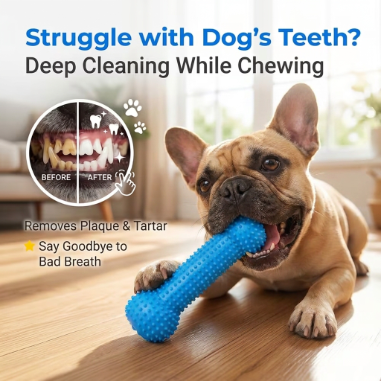 DentiPaw-Frenchie-Dental-Chew-Toy.jpg