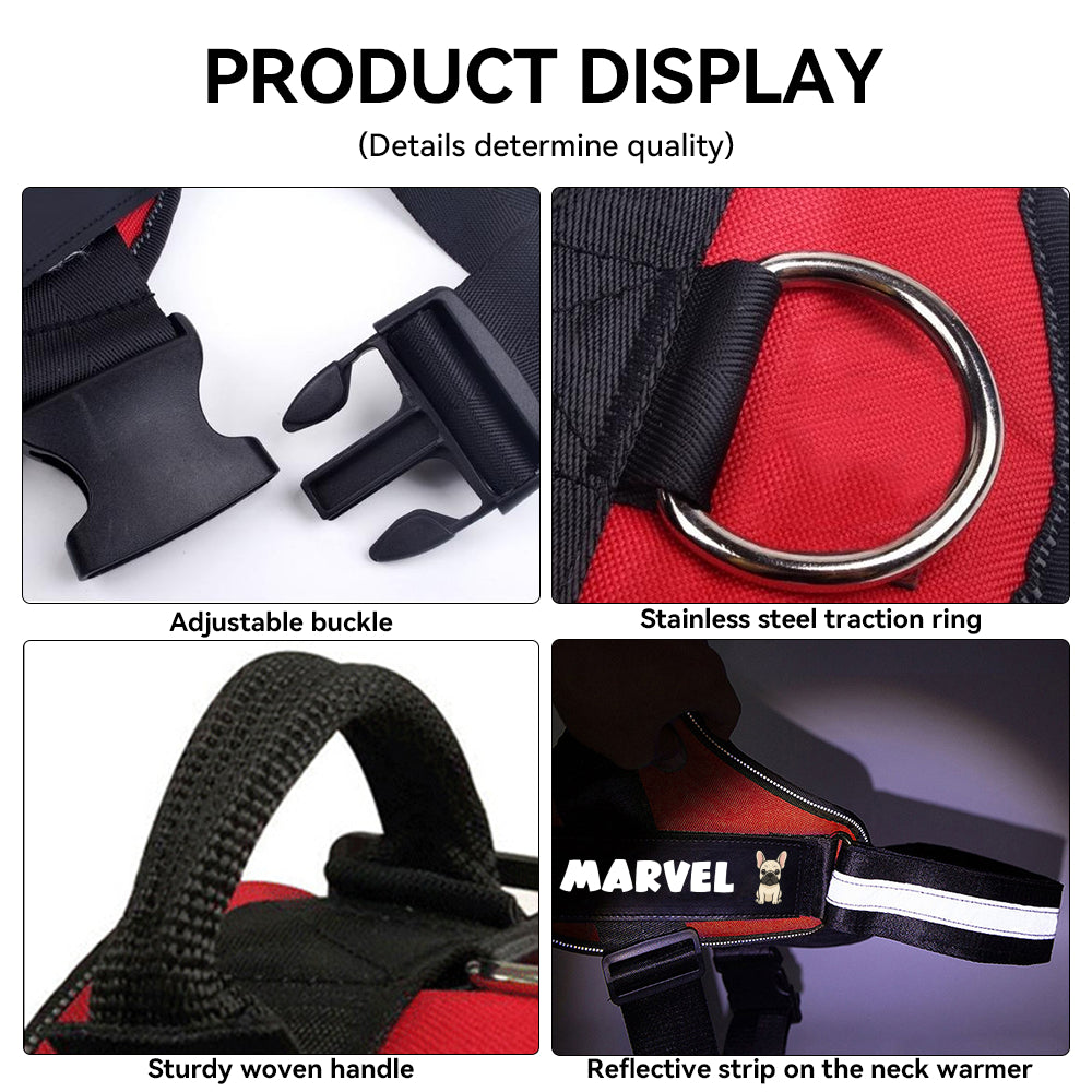 Maxie - Personalized French Bulldog Harness